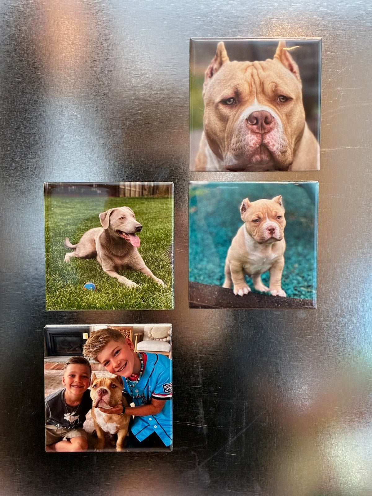 Custom Photo Magnets 8 Pack - 2.5" x 2.5"