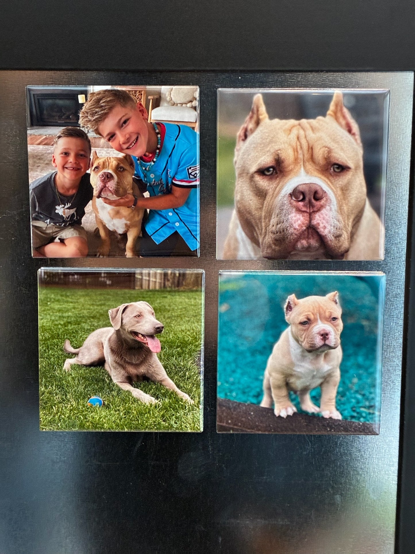Custom Photo Magnets 4 Pack - 2.5" x 2.5"