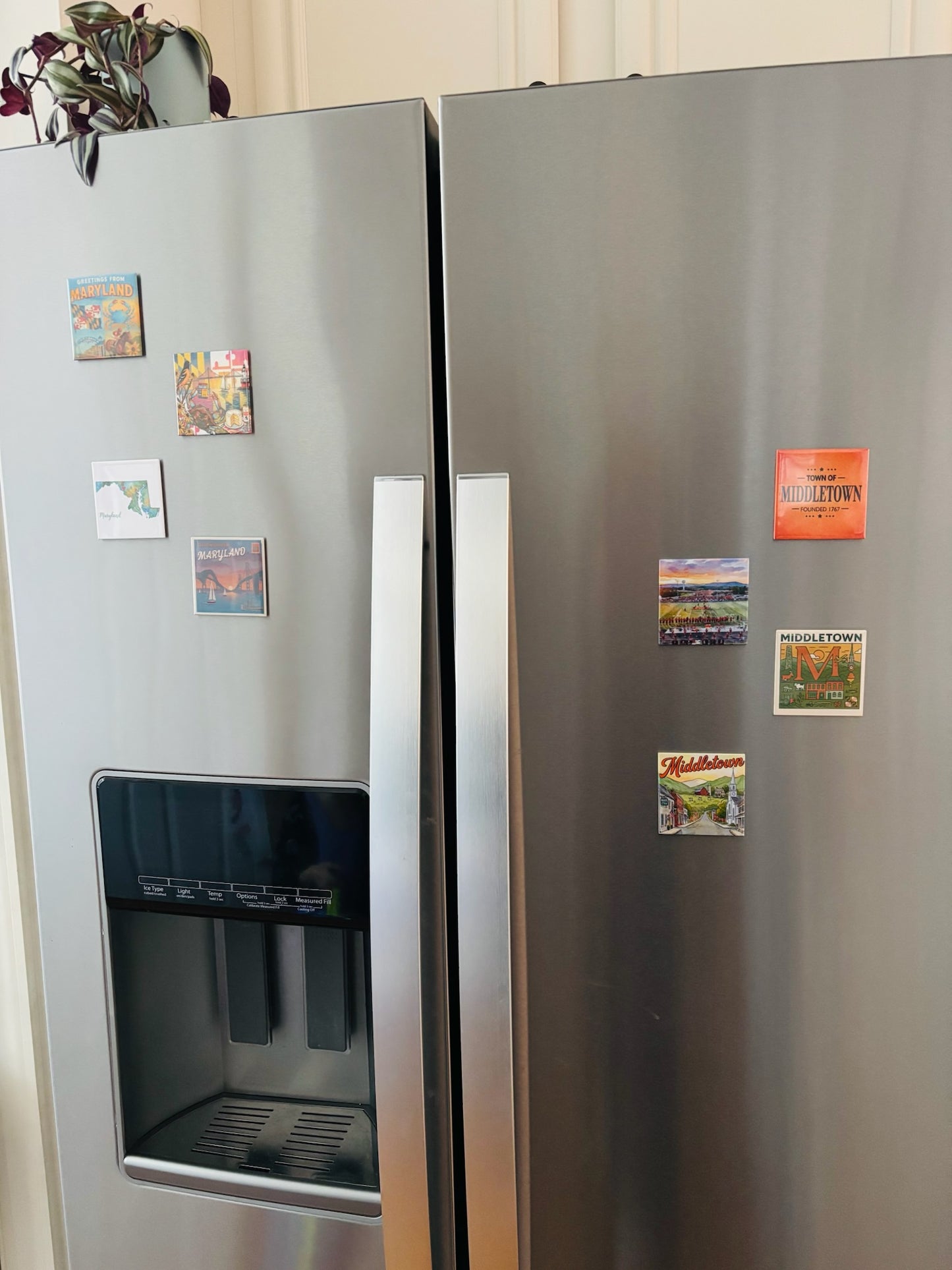 Custom Photo Magnets 8 Pack - 2.5" x 2.5"