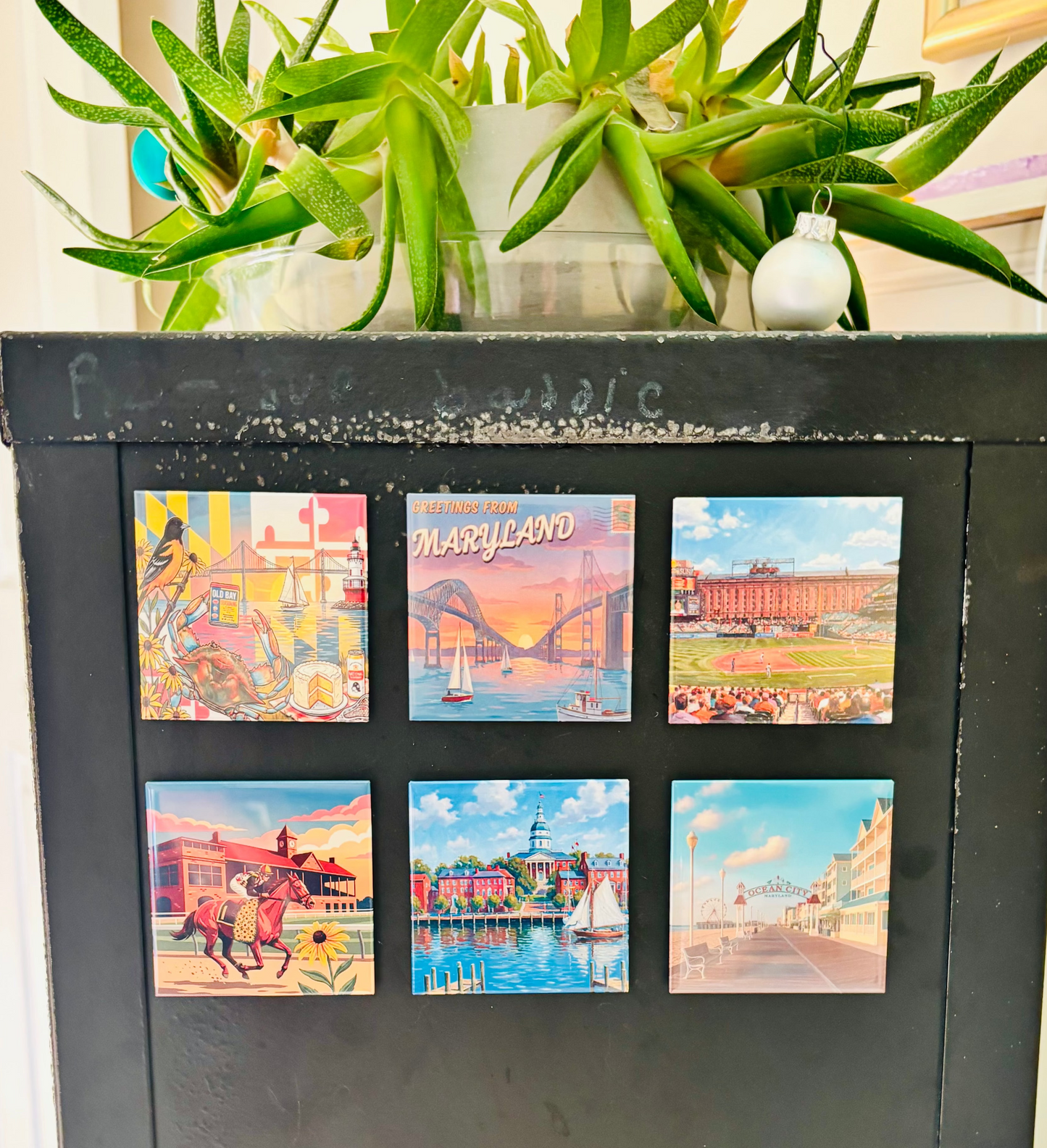 Custom Photo Magnets 8 Pack - 2.5" x 2.5"